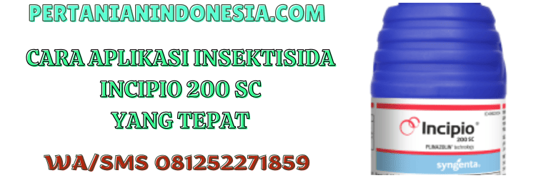 cara,aplikasi,penggunaan,pestisida jenis insektisida,pertanian indonesia